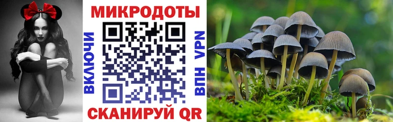 Купить где  Железногорск-Илимский  Псилоцибиновые грибы MAGIC MUSHROOMS 